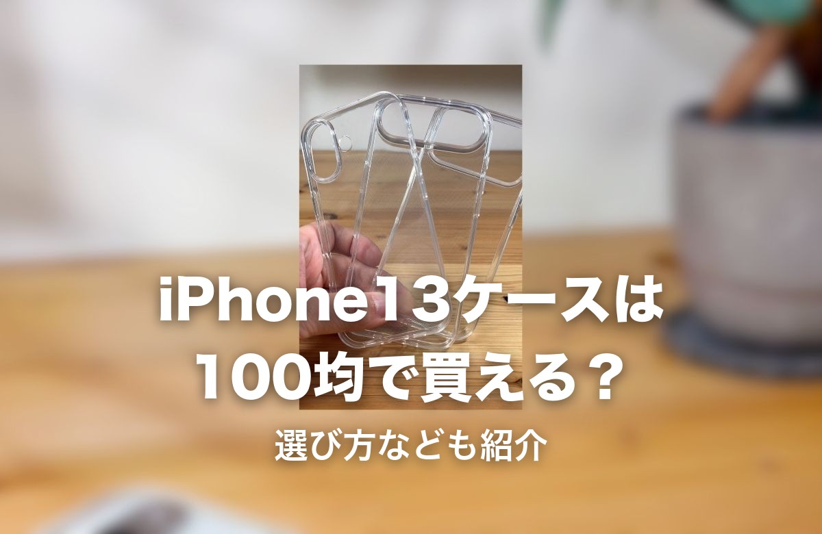 100均で購入したクリアケースの実物写真
