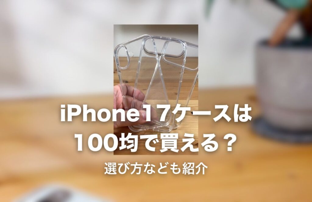 100均で購入したクリアケースの実物写真