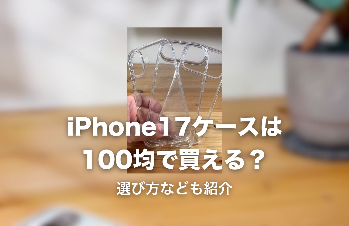 100均で購入したクリアケースの実物写真